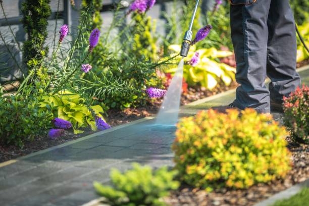 Carmichael, CA Pressure Washing Services Company